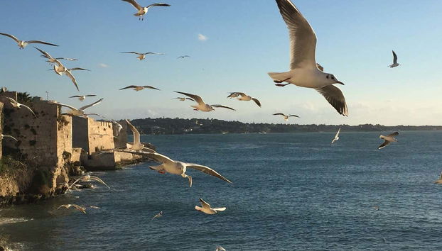 Giro in barca all'isola di Ortigia - Foto 2