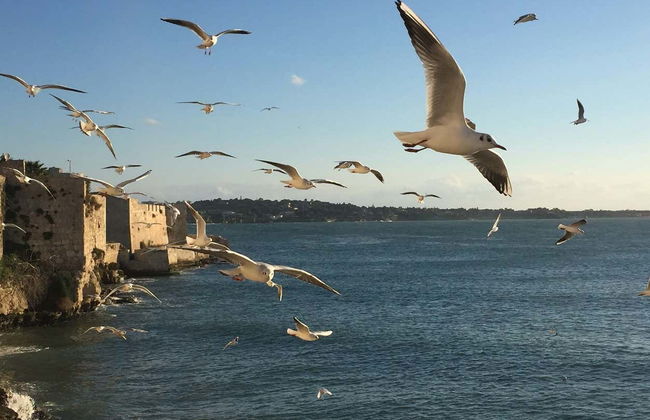 Paseo en barco por Ortigia - Foto 1
