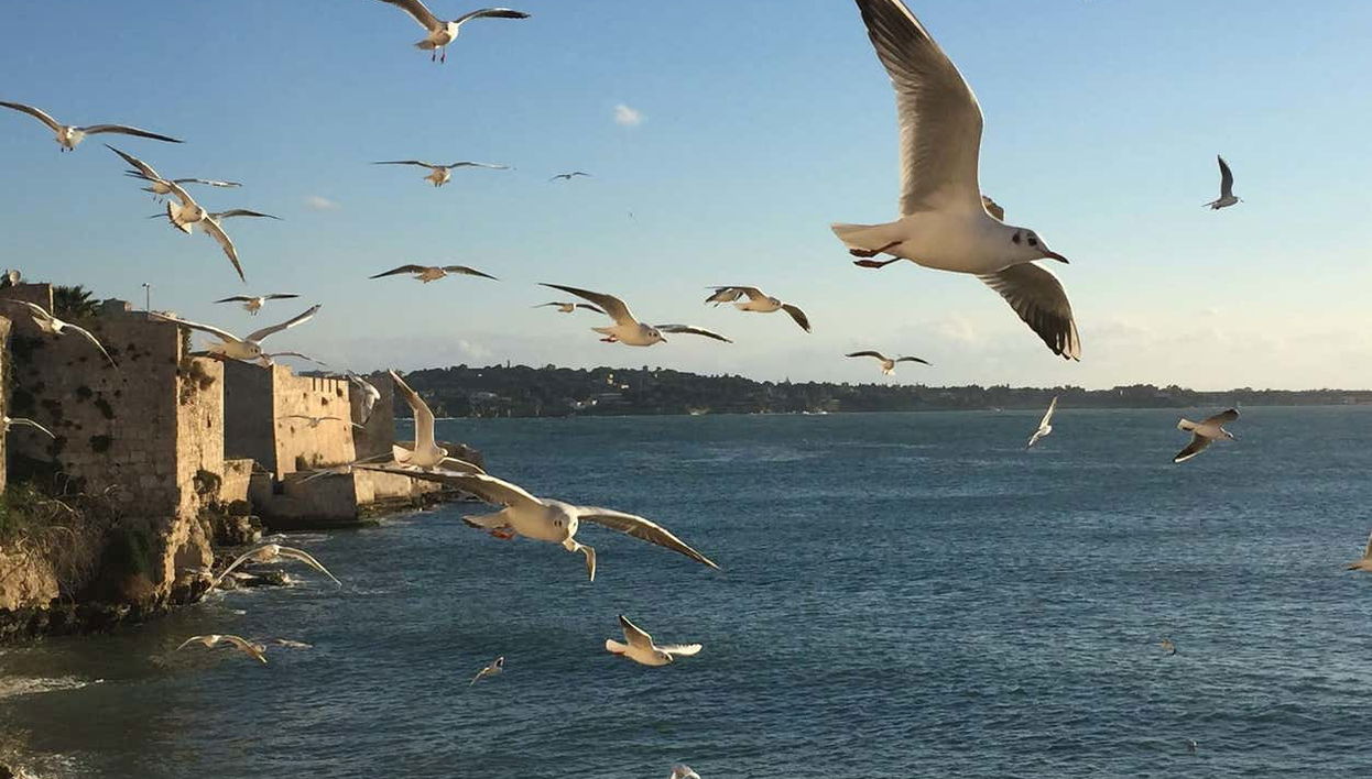 Enjoying the cruise around Ortigia