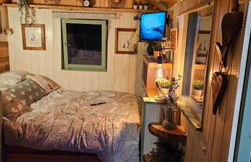 Cozy Cobblers Cabin - Photo 21