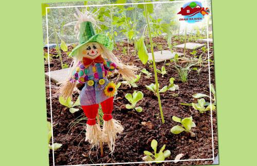 Pousada Chalé na Roça Penedo - Photo 62