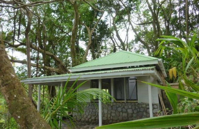 Citrus Creek Plantation - Photo 39