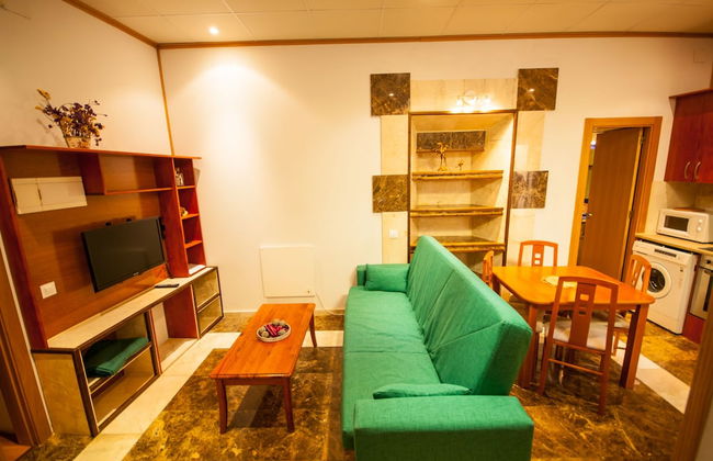 Apartamentos Turísticos Plasencia - Photo 8