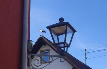 Ferienwohnung Belchenblick - Foto 23