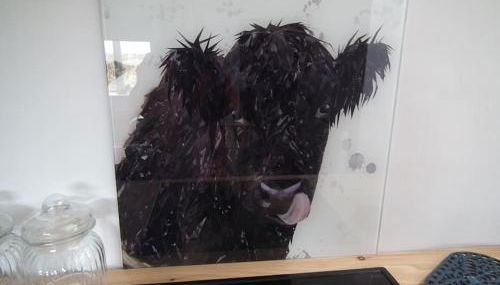 Borrowmoss Bothy, Charming & Characterful property, Wigtown - Foto 5