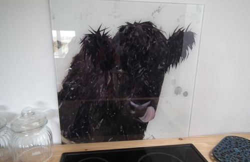 Borrowmoss Bothy, Charming & Characterful property, Wigtown - Foto 5