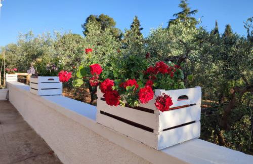 Porta Sugli Ulivi - Foto 21