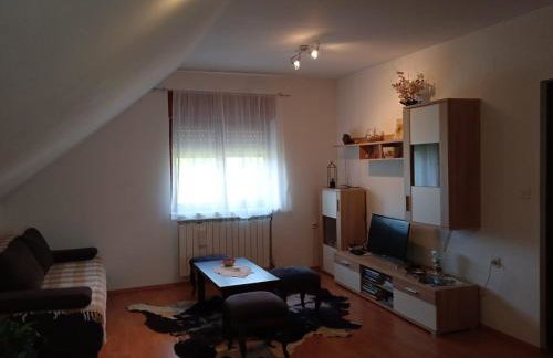 Apartman Skender 3* Ravna Gora - Foto 15
