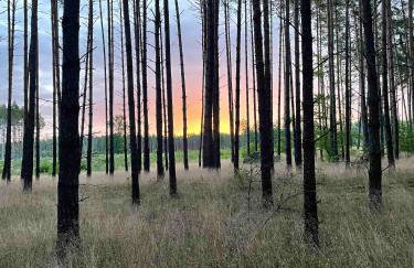 Sercem i Kopytem - Foto 24