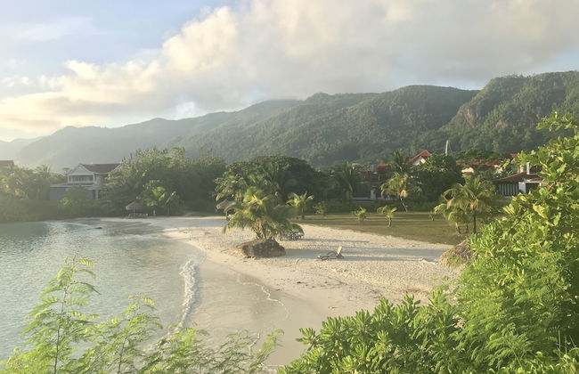 Eden Island Gem - Photo 15