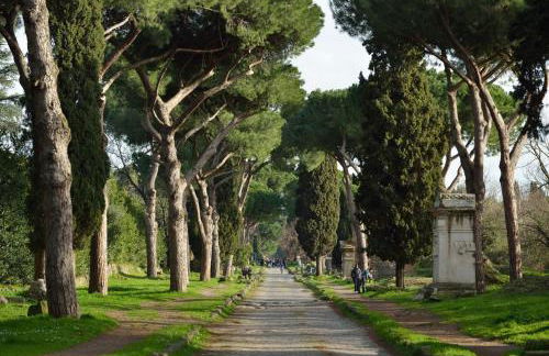 Pictadomus-viridis - Foto 27