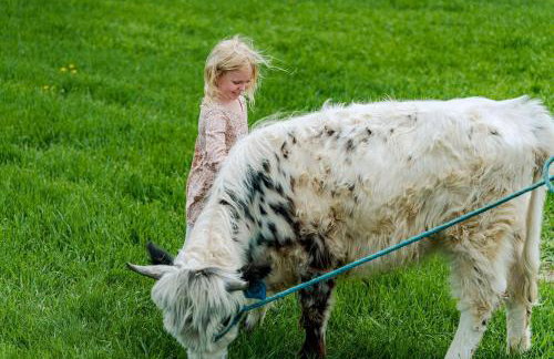 Beautiful Family Cabin with Cozy Interior and Exterior in Saint Croix Falls, Wisconsin - Foto 13