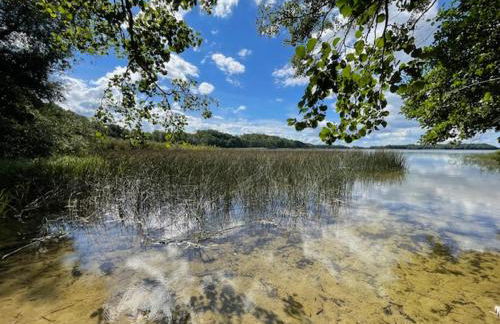 Ferien am Goldberger See - Foto 3
