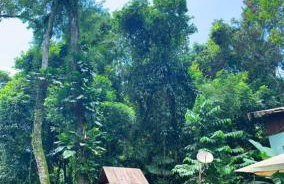 Recanto Maciel casa rústica em meio da natureza próximo a praia trilhas cachoeira - Foto 28