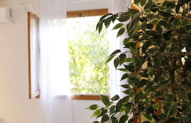 Casa Capitán, Piscina Privada, WiFi, Cerca de la playa - Foto 27