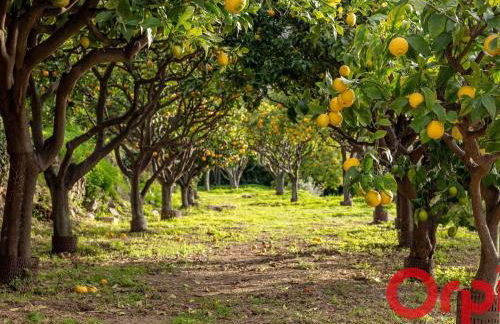 Appart lumineux à Menton avec piscine et Wi-Fi inclus - FR-1-647-51 - Photo 17