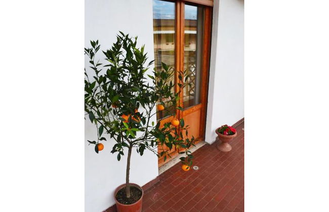 Casa Celeste - Photo 24