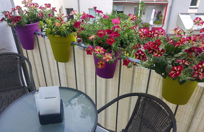 gapart - Apartments mit Küche - Foto 49