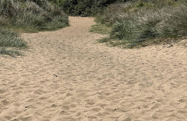 Luxury Glamping Pod With Hot Tub, fee Applies - Photo 8