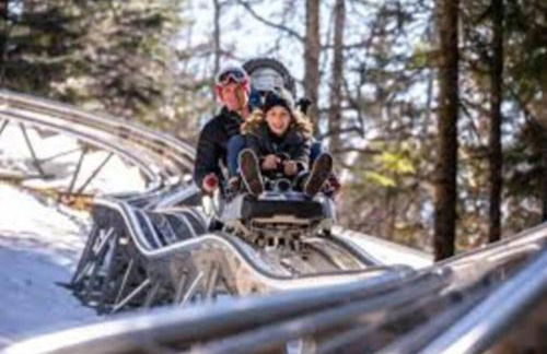 GREEN APPLE CARROZ Duplex WIFI Garage Balcon-Sud Vue Montagne - Photo 13