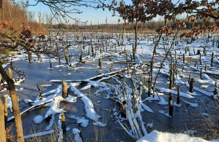 Ferienwohnung Brunnenstrasse - Foto 27