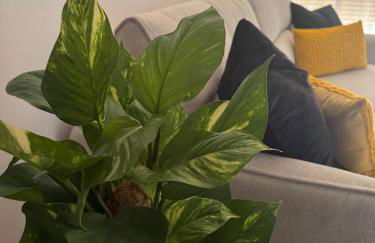 Dúplex Carballiño - Foto 8