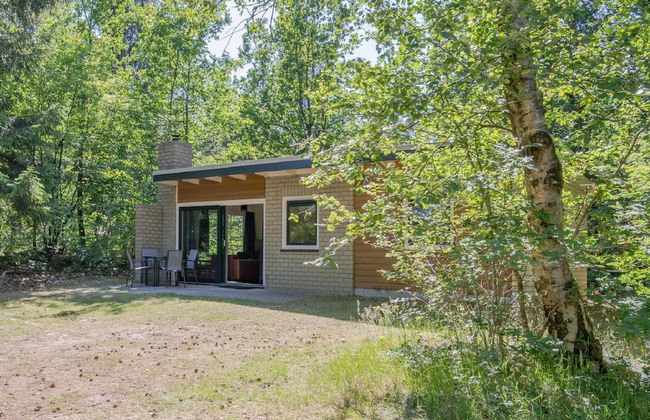 Nature Retreat in Drenthe - Foto 17