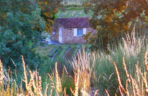 Quinta das Lavandas - Foto 45