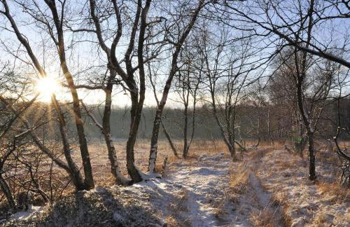 Ferienhof Jepsen - Foto 31