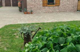 U Gosi Zator - Foto 17