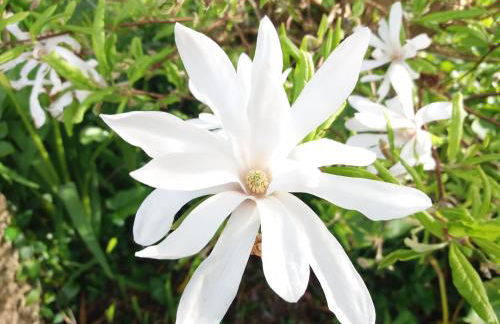 Bio Quinta do Pantano, Agro Turismo - Foto 38