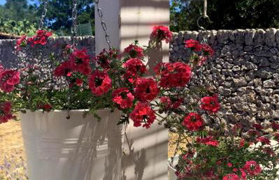 Masseria Trulli&Stelle B&B - Foto 58