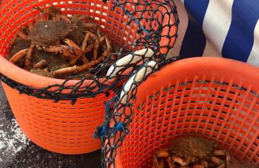 La Maison Gavraise - Foto 44