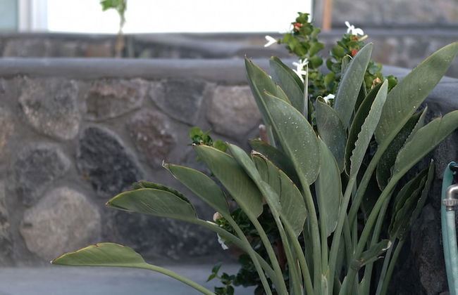 Alafropetra Luxury Suites - Foto 49