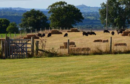 3 Bed in Yeovil oc-htorv - Foto 19