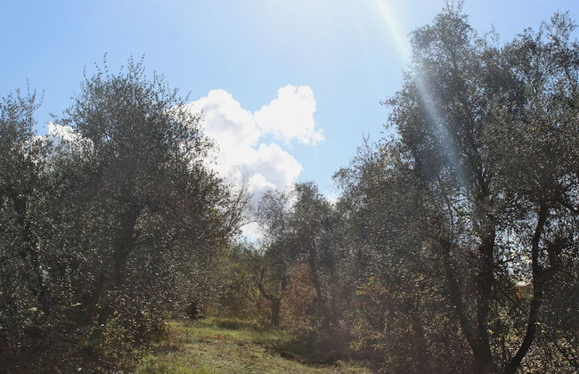 Agriturismo Due Comuni - Foto 56