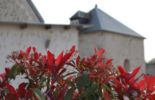 Gîtes De Saint Rémy - Foto 18