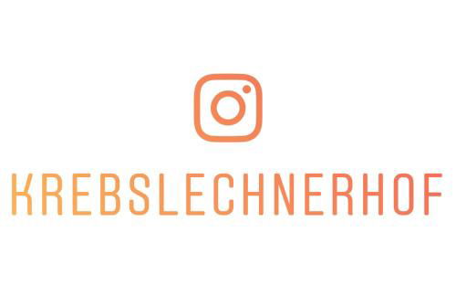 Krebslechnerhof - Foto 53