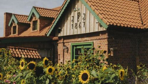 Osada Między Drzewami - Foto 2