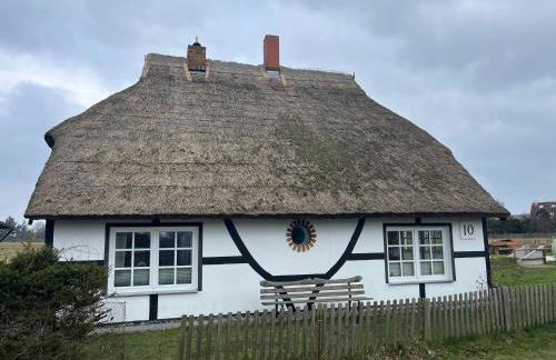 Urlaub unterm Reetdach auf dem Darß - Foto 17