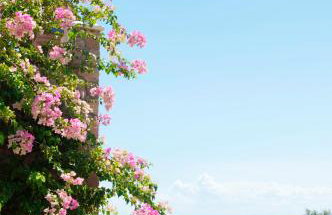 Neapoli Villas - Foto 41