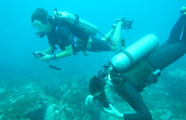 Beneath the Blue: Dive into the Wild Pacific - Photo 1