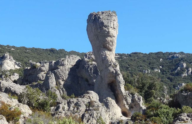 Saint-Guilhem-le-Désert Day Trip - Foto 2