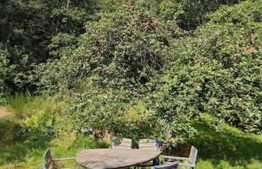 Wintergarten Eifeloase am Rursee - Foto 20