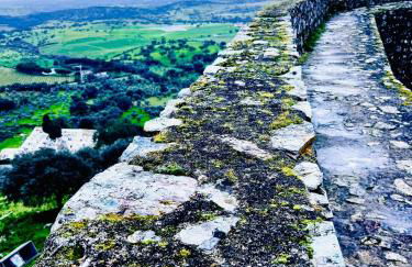 Quinta Castanheiro da Penha - Alegrete - Portalegre - Alentejo - Foto 40