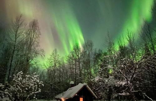 Talkeetna Gardens, Cabins & Cottages - Foto 26