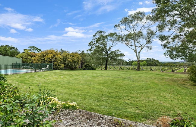 Gisborne Peak Winery Cottages - Foto 53