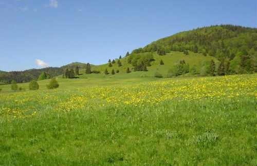 Ferienwohnung 2 Panoramablick - NEU incl 3-WeltenCard mit 140 kostenlosen Attraktionen - Foto 22