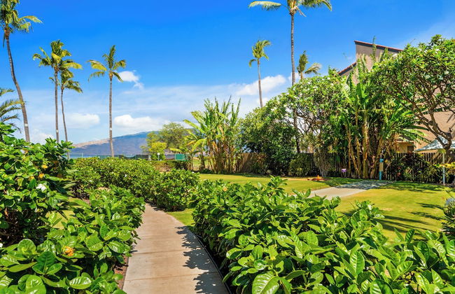 Maui Schooner Resort - Photo 54