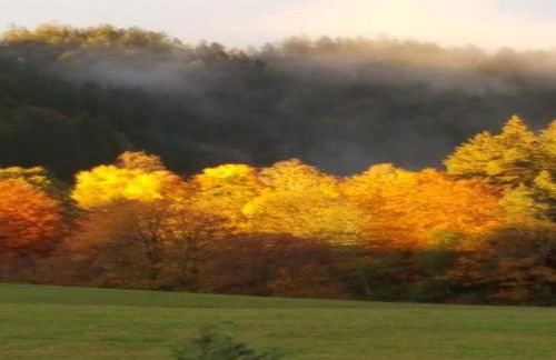 Charming Apartment, Harz Region - Foto 20